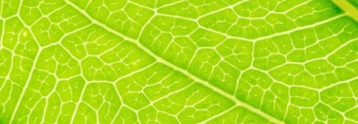 Environmental image