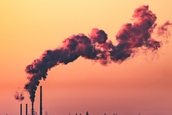 Decarbonization Corps 2024-2025