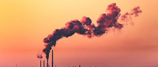 Decarbonization Corps 2024-2025